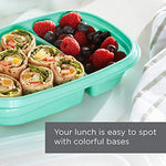 Rubbermaid 50 recipientes de almacenamiento de alimentos con tapas para almuerzo, preparación de comidas y sobras, aptos para lavaplatos, verde azulado Splash