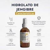 ▶ HEBBE- Hidrolato de Jengibre 120 ml | Antiinflamatorio | Antioxidante | Analgésico | Calmante | Tonificante | pH Natural | Ideal para la Piel | Bactericida | Antiedad | Contenido 120 ml