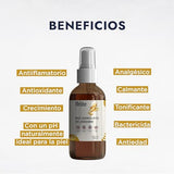 ▶ HEBBE- Hidrolato de Jengibre 120 ml | Antiinflamatorio | Antioxidante | Analgésico | Calmante | Tonificante | pH Natural | Ideal para la Piel | Bactericida | Antiedad | Contenido 120 ml