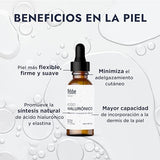 ▶ HEBBE - Ácido Hialurónico Líquido 20g | Hidratación Intensa | Alisa y Rellena Arrugas | Protege de Agentes Externos | Estimula Producción Natural de Colágeno y Elastina.