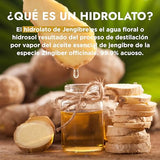 ▶ HEBBE- Hidrolato de Jengibre 120 ml | Antiinflamatorio | Antioxidante | Analgésico | Calmante | Tonificante | pH Natural | Ideal para la Piel | Bactericida | Antiedad | Contenido 120 ml