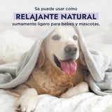 ▶ HEBBE  - Agua de Lavanda 1 L | Analgésico y Cicatrizante | Calmante y Antiséptico | pH Ideal para Tratamiento de Acné y Piel Seca | Alivia Daños Solares | Tónico Purificante para Pieles Jóvenes | Contenido de 1 L