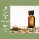 OLEUM VITAE Aceite Esencial de Orégano 30ml. Origanum Vulgare. 100% Puro y Orgánico. Aplicación Interna, Externa y Aromática.