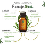 OLEUM VITAE Aceite Esencial de Romero 30ml. Rosmarinus Officinalis 100% Puro y Orgánico. Hecho en India Certificado USDA ORGANIC Aplicación Interno Externo y Aromático
