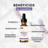 ▶ HEBBE - Aceite Esencial de Lavanda 100% Puro, Relajante y Cicatrizante para Aromaterapia y Cosmética, 10 ml