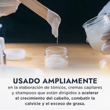 ▶ HEBBE- Hidrolato de Jengibre 120 ml | Antiinflamatorio | Antioxidante | Analgésico | Calmante | Tonificante | pH Natural | Ideal para la Piel | Bactericida | Antiedad | Contenido 120 ml