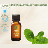 OLEUM VITAE Aceite Esencial de Menta (Mentha Piperita),100% Puro y Orgánico. USDA ORGANIC. 30ml. Aplicación Aromática, Externa e Interna