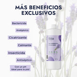 ▶ HEBBE  - Agua de Lavanda 1 L | Analgésico y Cicatrizante | Calmante y Antiséptico | pH Ideal para Tratamiento de Acné y Piel Seca | Alivia Daños Solares | Tónico Purificante para Pieles Jóvenes | Contenido de 1 L
