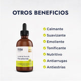 ▶ HEBBE  - Aceite de Nuez de Macadamia 100% Puro, Hidratante y Anti-envejecimiento para Piel y Cabello, 50 ml