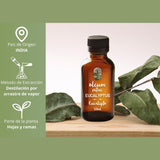OLEUM VITAE Aceite Esencial de Eucalipto 120ml. Eucalyptus Globulus 100% Puro y Orgánico. Hecho en India Certificado USDA ORGANIC Aplicación Externa y Aromática