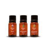 ▶ OLEUM VITAE Kit de Aceites Esenciales DIGEST-MENTA-HIERBABUENA. 100% Puros y Orgánicos. Apoyo Perfecto para la Digestión. Aplicación Aromática, Interna y Externa