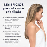 ▶ HEBBE- Hidrolato de Jengibre 120 ml | Antiinflamatorio | Antioxidante | Analgésico | Calmante | Tonificante | pH Natural | Ideal para la Piel | Bactericida | Antiedad | Contenido 120 ml