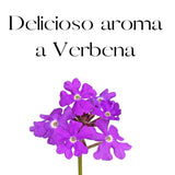 OLEUM VITAE Body Lotion Té Verde-Verbena. Crema Corporal con Aceite Esencial de Té Verde. Hidratación Profunda. 250gr