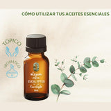 OLEUM VITAE Aceite Esencial de Eucalipto 30ml. Eucalyptus Globulus 100% Puro y Orgánico. Hecho en India Certificado USDA ORGANIC Aplicación Externa y Aromática
