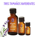 OLEUM VITAE Aceite Esencial de Lavanda 30ml. Lavandula Angustifolia. 100% Puro y Orgánico. Certificado USDA ORGANIC. Aplicación Interna, Externa y Aromática.
