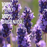 OLEUM VITAE Aceite Esencial de Lavanda 120ml. Lavandula Angustifolia. 100% Puro y Orgánico. Certificado USDA ORGANIC. Aplicación Interna, Externa y Aromática.