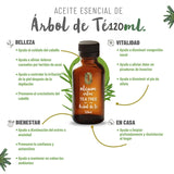OLEUM VITAE Aceite Esencial de Árbol de Té 120ml. Melaleuca Alternifolia. 100% Puro y Orgánico. Certificado USDA ORGANIC. Aplicación Externa y Aromática.