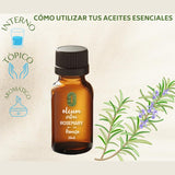 OLEUM VITAE Aceite Esencial de Romero 30ml. Rosmarinus Officinalis 100% Puro y Orgánico. Hecho en India Certificado USDA ORGANIC Aplicación Interno Externo y Aromático