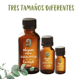 OLEUM VITAE Aceite Esencial de Eucalipto 30ml. Eucalyptus Globulus 100% Puro y Orgánico. Hecho en India Certificado USDA ORGANIC Aplicación Externa y Aromática