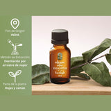 OLEUM VITAE Aceite Esencial de Eucalipto 30ml. Eucalyptus Globulus 100% Puro y Orgánico. Hecho en India Certificado USDA ORGANIC Aplicación Externa y Aromática