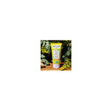 Gel de ducha energético Weleda Aroma Essentials, 190 ml (6.8 onzas líquidas), limpiador suave y rico en plantas con jengibre, limoncillo de Java y cedro.