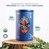 Birdman Falcon Protein Proteina Vegetal Organica En Polvo (Vegana) Certificada USDA, 22gr Proteina por porción, Sin inflamacion, Sin acne, 17 Porciones Sabor Chai | 17 servicios | 510gr