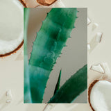 ▶ RAW SUGAR  KIDS Champú y Acondicionador 2 en 1, Coco y Aloe Vera, 354ml