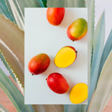 ▶ RAW SUGAR , The Bounce Back, Acondicionador Hidratante y Fortalecedor, con Manteca de Mango, Agave y Aceite de Zanahoria, Prensado en Frío, Vegano, Libre de Sulfatos, Parabenos y Siliconas, 532 ml