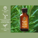 OLEUM VITAE Aceite Esencial de Árbol de Té 120ml. Melaleuca Alternifolia. 100% Puro y Orgánico. Certificado USDA ORGANIC. Aplicación Externa y Aromática.
