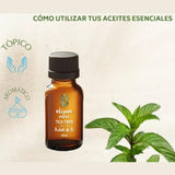 OLEUM VITAE Aceite Esencial de Árbol de Té 30ml. Melaleuca Alternifolia. 100% Puro y Orgánico. Certificado USDA ORGANIC. Aplicación Externa y Aromática.
