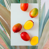 ▶ RAW SUGAR  The Bounce Back, Shampoo Hidratante y Fortalecedor, con Manteca de Mango, Agave y Aceite de Zanahoria, Prensado en Frío, Vegano, Libre de Sulfatos, Parabenos y Siliconas, 532 ml