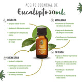OLEUM VITAE Aceite Esencial de Eucalipto 30ml. Eucalyptus Globulus 100% Puro y Orgánico. Hecho en India Certificado USDA ORGANIC Aplicación Externa y Aromática