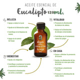 OLEUM VITAE Aceite Esencial de Eucalipto 120ml. Eucalyptus Globulus 100% Puro y Orgánico. Hecho en India Certificado USDA ORGANIC Aplicación Externa y Aromática