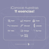 ▶ B Life  Aceite Esencial con Ingredientes Puros y Naturales, Aromalogía de 50 ml. Aceite Esencial Eucalipto. B Life