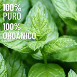OLEUM VITAE Aceite Esencial de Menta. Mentha Piperita.100% Puro y Orgánico. Certificado USDA ORGANIC. Aplicación Interna, Externa y Aromática. 15ml