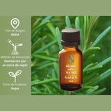 OLEUM VITAE Aceite Esencial de Árbol de Té 30ml. Melaleuca Alternifolia. 100% Puro y Orgánico. Certificado USDA ORGANIC. Aplicación Externa y Aromática.