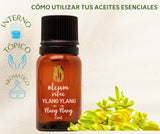 OLEUM VITAE Aceite Esencial de Ylang Ylang. Cananga odorata. 100% Puro y Orgánico. Certificado USDA ORGANIC. Aplicación Interna, Externa y Aromática. 15ml