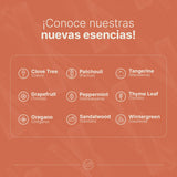 ▶ B Life  Aceite Esencial con Ingredientes Puros y Naturales, Aromalogía de 50 ml. Aceite Esencial Sándalo (Sandalwood) B Life