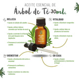 OLEUM VITAE Aceite Esencial de Árbol de Té 30ml. Melaleuca Alternifolia. 100% Puro y Orgánico. Certificado USDA ORGANIC. Aplicación Externa y Aromática.