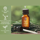 OLEUM VITAE Aceite Esencial de Lavanda 30ml. Lavandula Angustifolia. 100% Puro y Orgánico. Certificado USDA ORGANIC. Aplicación Interna, Externa y Aromática.