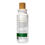 ▶ RAW SUGAR , Scalp Restore, Shampoo, Restaura el Cuero Cabelludo, con Carbón Activado, Árbol de Té y Aceite de Moringa, Prensado en Frío, Vegano, Libre de Sulfatos, Siliconas y Parabenos, 532 ml