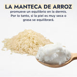 ▶ HEBBE   - Manteca de Arroz 250 g | Tonificante y Regenerador | Efecto Suavizante | Anti-Envejecimiento | Emoliente e Hidratante Natural | Calmante Post-Exposición Solar | Contenido de 250 g
