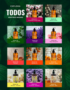 OLEUM VITAE Shower GelT é Verde-Verbena. Gel de Ducha con Aceite Esencial de Té Verde. 360 Gr