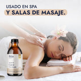 ▶ HEBBE  - ACEITE DE COCO FRACCIONADO | Hidratante Todo Tipo de Piel | Elimina Frizz Cabello | Ideal para Jabones y Mascarillas Capilares | 250 ml | No Graso y de Rápida Absorción | Excelente para Desmaquillar
