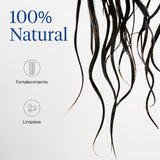 ▶  MARAMA | Clarity Kit | Shampoo sin Parabenos + Aloe Acondicionador sin Parabenos | Tratamiento para Cabello Maltratado - Aloe Vera | Anti Frizz Cabello | Vegano - Cruelty-Free