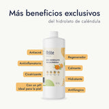 ▶ HEBBE  - Hidrolato de Caléndula 1 L | Mejora Apariencia de la Piel | Calmante y Reparador | Estimula Producción de Colágeno | Contenido de 1L