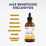 ▶ HEBBE  - Aceite de Chabacano 100 ml | No Obstruye los Poros y Combate el Envejecimiento | Rico en Polifenoles, Desinflama y Alivia la Irritación de la Piel | Apto para Todo Tipo de Piel | Estimula la Regeneración Cutánea | Contenido de 100 ml