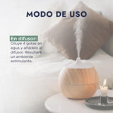 ▶ HEBBE - Aceite Esencial de Romero 50 ml | Apoyo en el Tratamiento de Problemas Respiratorios | Combate la Fatiga, es Antiinflamatorio y Analgésico Natural | Cicatrizante Natural | Contenido de 50 ml