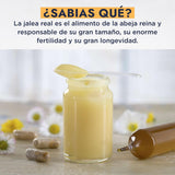 ▶ HEBBE  - Extracto Vegetal de Jalea Real 100 g | Retrasa los Signos del Envejecimiento, Tonificante y Estimulante | Mejora la Hidratación y Elasticidad de la Piel | Aumenta la Producción de Colágeno | Contenido de 100 g