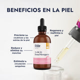 ▶ HEBBE  - Kit aceite de rosa mosqueta, jojoba y karité | Ayuda a prevenir líneas de expresión | Propiedades antiedad | Equilibra la producción de sebo | Da mayor volumen | Contribuye a la formación de colágeno | Regenera y reafirma la piel